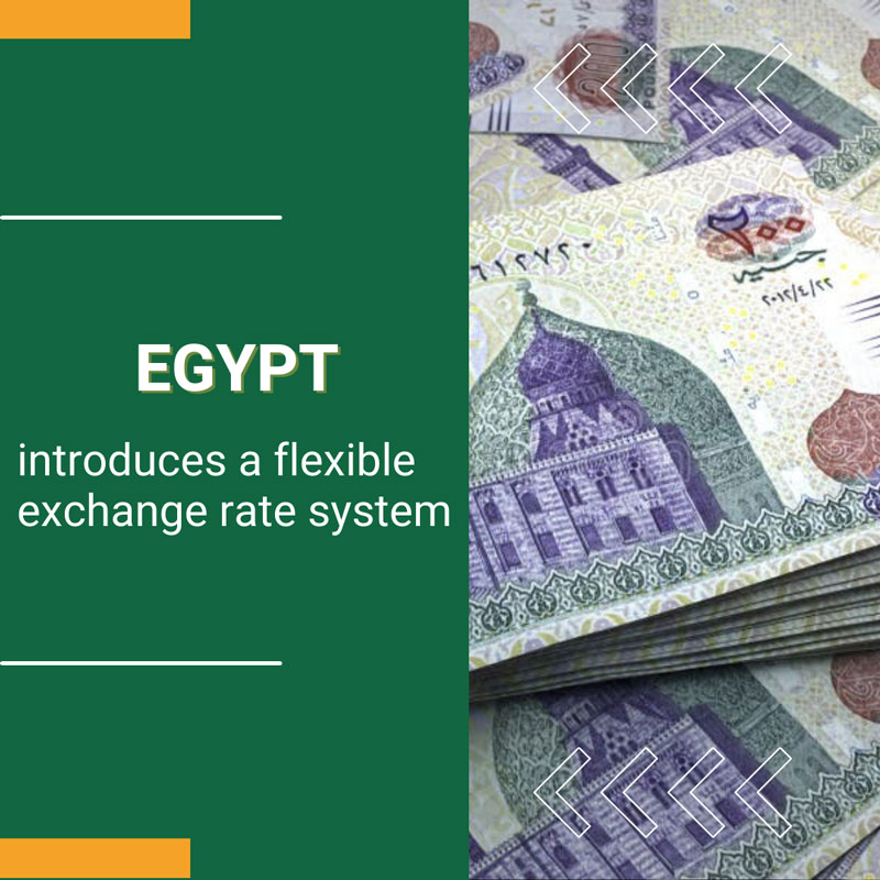 Egypt Introduces a Flexible Exchange Rate System